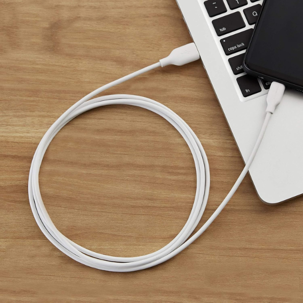 Basics USB-C to USB-A 2.0 Fast Charging Cable - Image 3